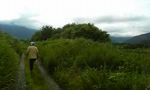 200907200726000.jpg