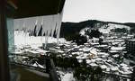 201001181409000.jpg