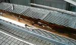 201004011044001.jpg