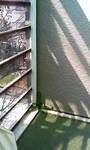 201004090909000.jpg