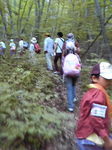 201007251228000.jpg