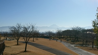 DSC_4298.JPG