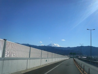 P1000203.jpg